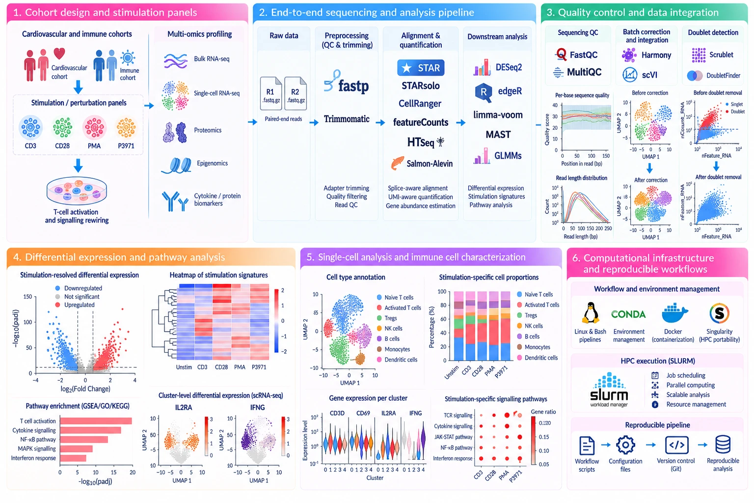 Figure for Stimulation-Resolved Multi-Omics Analysis of Cardiovascular & Immune Cohorts