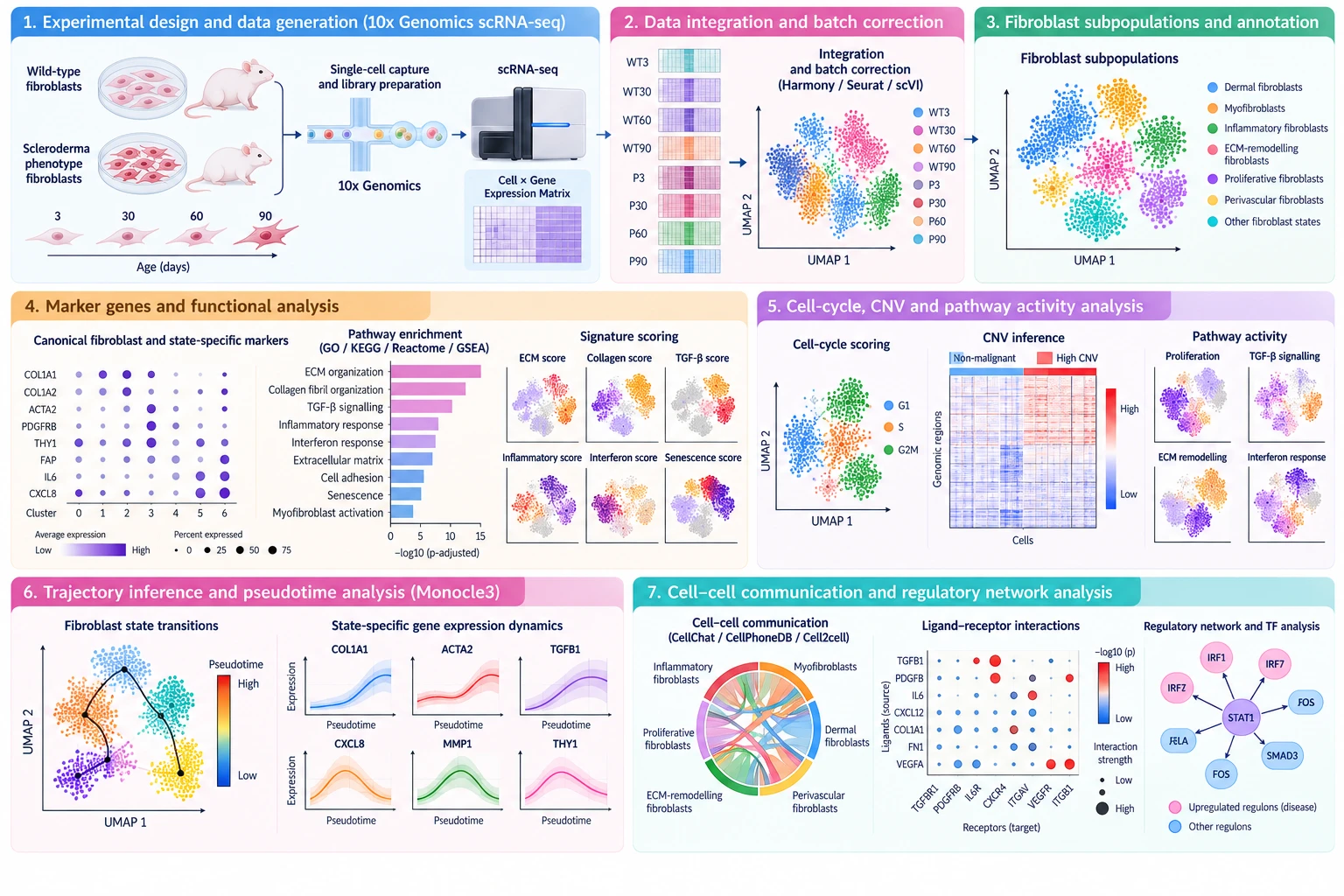 Figure for Single-Cell Transcriptomic Profiling of Mouse Fibroblast Heterogeneity in Scleroderma
